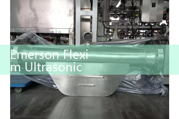 Emerson Flexim Ultrasonic Flow Meter Review: Permanent and Portable Non-Intrusive Tech